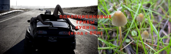 МДПВ Арсеньев