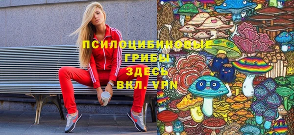 МДПВ Арсеньев
