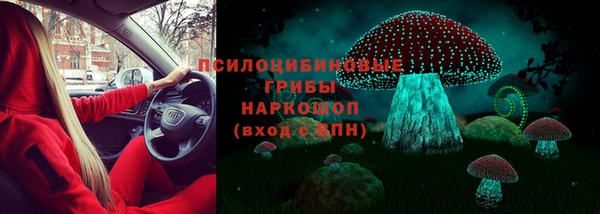 МДПВ Арсеньев