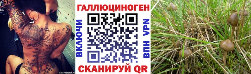 hydra зеркало  Семикаракорск  Псилоцибиновые грибы MAGIC MUSHROOMS 